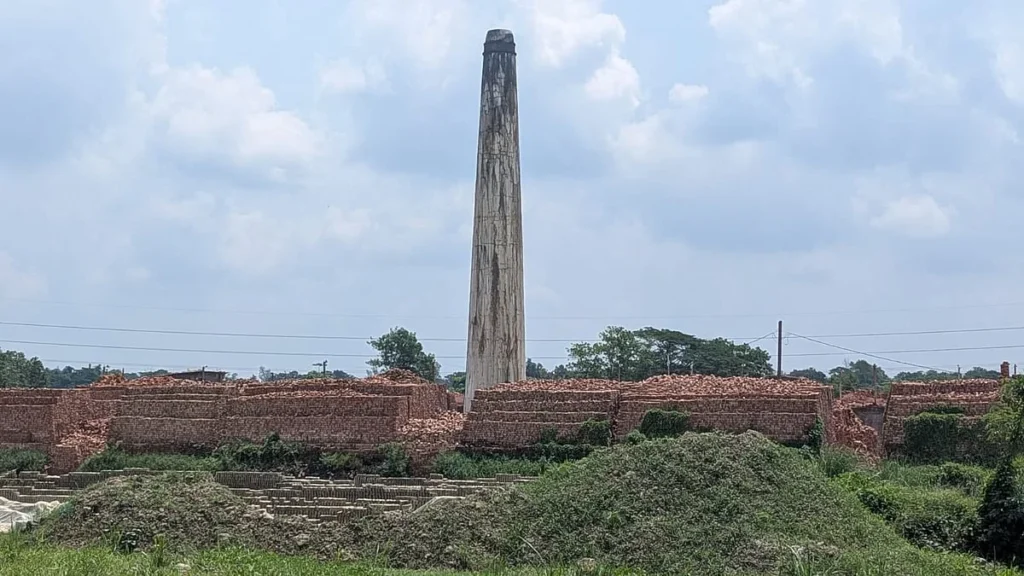 ঢাকা থেকে মধুগ্রামের পথে: ইটভাটা, বর্জ্য আর হারিয়ে যাওয়া সবুজ