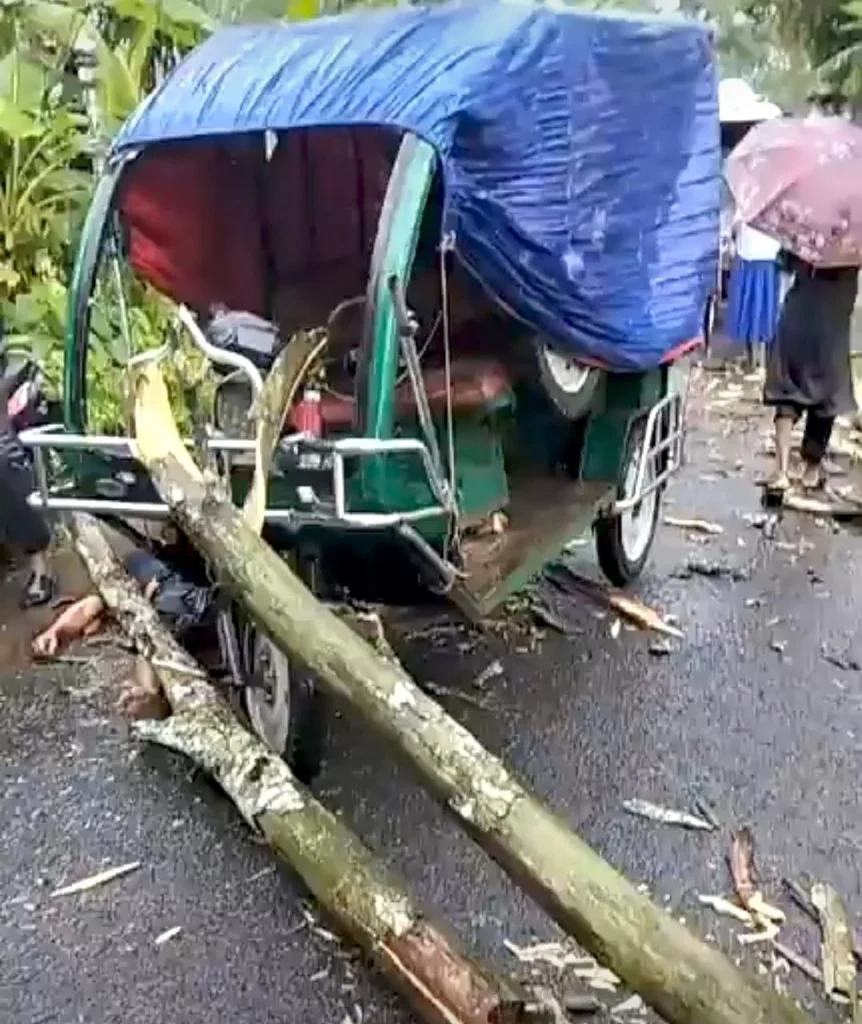 চলন্ত অটোরিকশায় হঠাৎ ভেঙে পড়ল গাছ, চালকের মৃত্যু